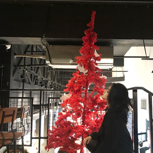 看欧美性生活片
