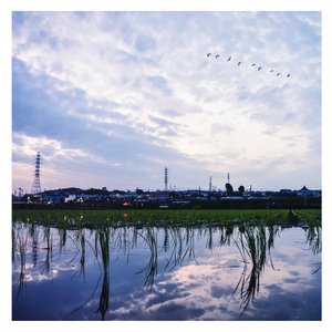 看欧美性生活片
